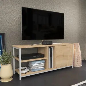 Decorotika Neola TV Stand TV Cabinet TV Unit for TVs up to 55 inches