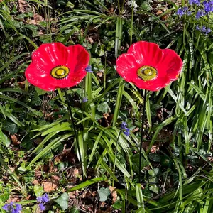 Cast Iron Poppy Dish Wild Bird Feeders (Set of 2)