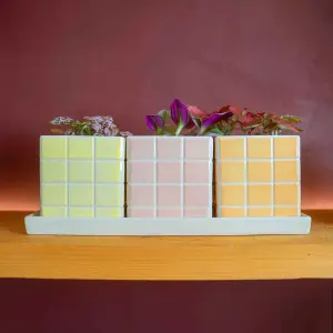 Set of 3 Warm Pastel Tile Design Ceramic Planters with Tray