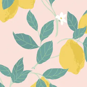 Envy Feeling Fruity Blush Lemon Smooth Wallpaper