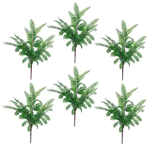 6 x 55cm Himilayan Maidenhair Fern Bush Dark Green Plant