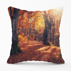 Autumn Forest Cushions 45cm x 45cm