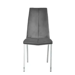 Knudsen Velvet Upholstered Side Chair (Set of 2) Grey