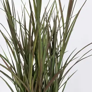 Blooming Artificial - 115cm / 3.75ft Burgundy Artificial Phormium Grass