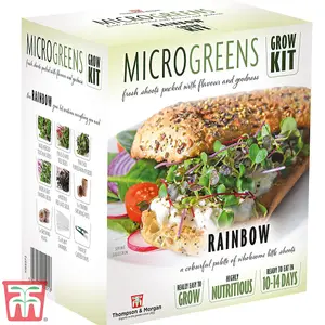 Seed Grow Kit Microgreens Rainbow