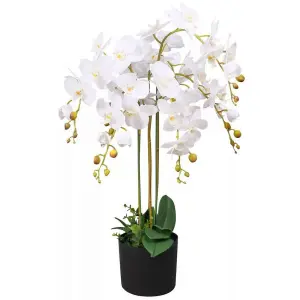 85cm Leaf Design UK Realistic Artificial Orchid Flower Display in Pot