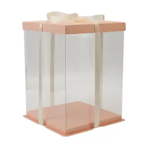 10 Inch Pink Clear Plastic Cake Gift Box with Ribbon 30cm W x 30cm D x 35cm H