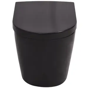 Berkfield Wall Hung Toilet Ceramic Black