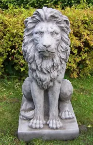 Very Large Sitting Proud Lion Statue