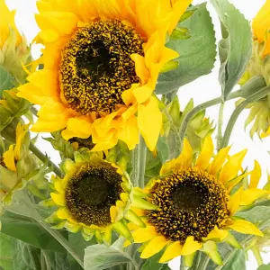 Artificial Sunflower Stems - 6 Pack Bundle, 3 Flower Heads Per Stem