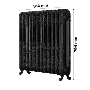 Arroll Daisy Cast iron Black 12 Column Radiator, (W)814mm x (H)794mm