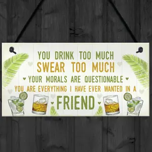 Red Ocean Funny Best Friend Friendship Sign Drink Too Much Gin Vodka Birthday Gift