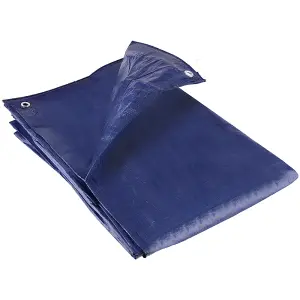 GroundMaster 80gsm Economy Blue Tarpaulin (1.2m x 1.8m)