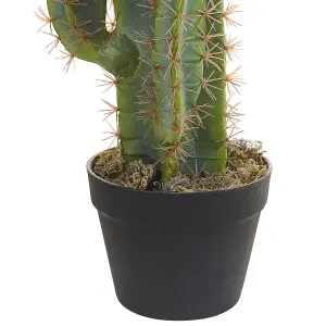 Beliani Artificial Plant CACTUS Green