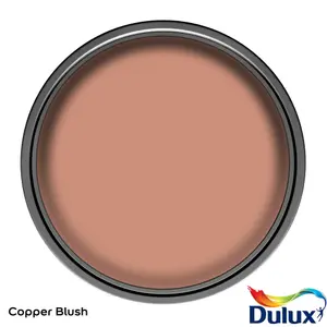 Dulux Easycare Kitchen Copper Blush Matt Wall paint, 2.5L