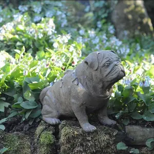 Full Size Pug Cold cast Bronze dog Statue