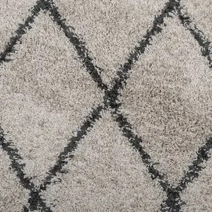 Shaggy Rug PAMPLONA High Pile Modern Beige and Anthracite 240x340 cm