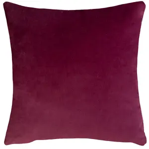 Evans Lichfield Eden Mirror Velvet Feather Filled Cushion