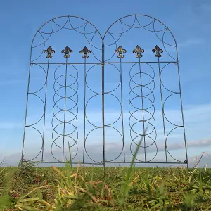 Set of 2 Fleur de Lys Design Metal Trellis (120cm x 50cm)