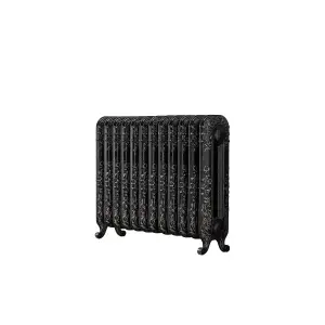 Arroll Daisy Cast iron Silver 12 Column Radiator, (W)814mm x (H)597mm