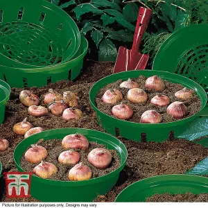 Flower Bulb Planting Baskets - 10 pack