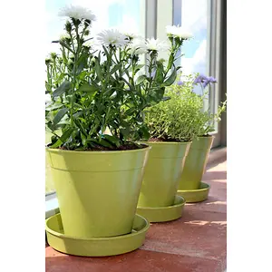 Garden Bamboo Seed Trays Pots & Saucers Sage Green Indoor Outdoor Compostable Bamboo Fibre (x5)