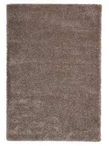 Beige Plain Shaggy Modern Polypropylene Easy to Clean Rug for Living Room Bedroom and Dining Room-160cm X 220cm