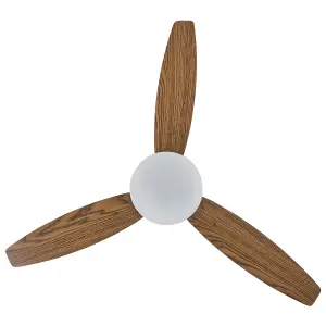 Ceiling Fan with Light Black MLAVA