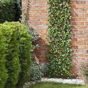 Lemon Leaf Topiary Trellis 180 x 60cm Artificial Leaf Trellis Garden Screen