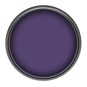 Leyland Trade Vinyl Matt Walls & Ceilings Emulsion Paint Perfectly Purple (PPG1176-7) 5L