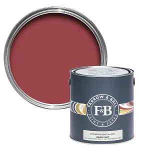 Farrow & Ball Dead Flat Mixed Colour 248 Incarnadine 5 Litre