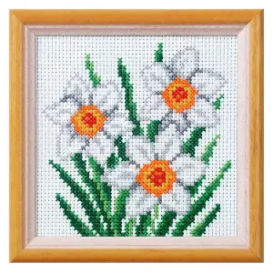 XSTITCH KIT NARCISSUS - Cross Stitch Kit: Narcissus - Orchidea