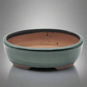 20cm Glazed Bonsai Pot - Oval - 20cm x 16cm x 6cm - Green