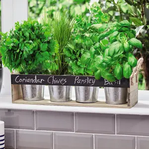 Gift Chalk Board Herb Garden Gift Set