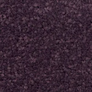 Colours Plum Carpet tile, (L)500mm