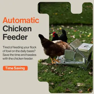 SuperHandy Chicken Feeder Automatic Spill Proof Galvanized Steel Bird Prevention for Chickens, Pheasants, or Roosters