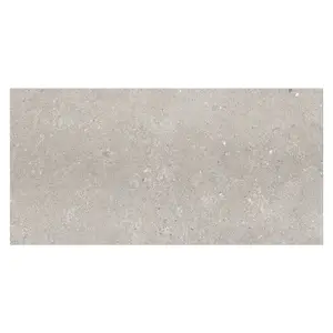 Azure Matt Grey Concrete Effect Porcelain Outdoor Tile - Pack of 1, 0.72m² - (L)1200x(W)600