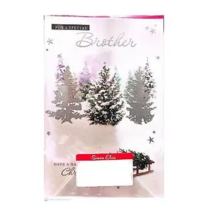 Simon Elvin To A Special Brother Christmas Card (Pack of 6) White/Green (One Size)