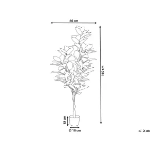 Artificial Plant FICUS ELASTICA Green