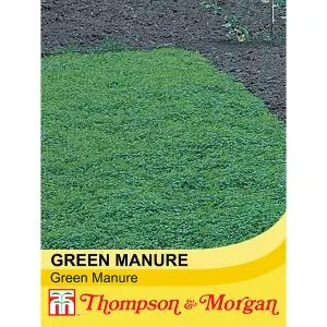 Green Manure 1 Seed Packet - Thompson & Morgan