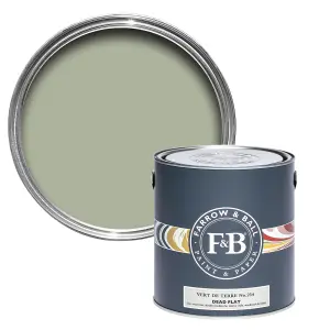 Farrow & Ball Dead Flat Mixed Colour 234 Vert De Terre 750ml