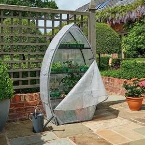 Westland Growhouse Unique Shape Greenhouse Strong Frame + Big Tom Tomato Feed 1L