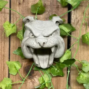 Bulldog Head Stone Wall Plaque