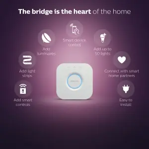 Philips Hue Lily Outdoor Spotlight Base Kit with Bridge Starter kit