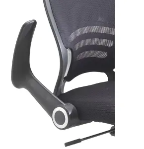 Rainbow Zebra Mesh Back Computer Desk Chair with Folding Armrests