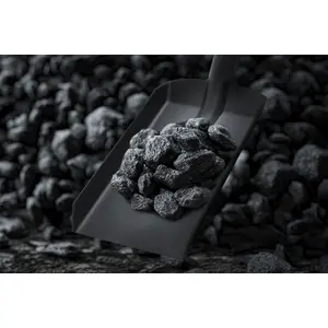 Sealey Coal Shovel 4" with 160mm Handle SS07