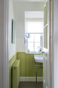 Farrow & Ball Dead Flat Mixed Colour 251 Churlish Green 2.5 Litre