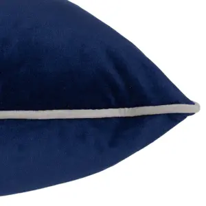 Paoletti Meridian Velvet Feather Rich Cushion