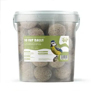 Suet Shop Wild Bird Food Standard Suet Fat Balls Bird Feed 80g Tub of 50