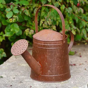 Large Metal Watering Can Vintage Style Garden Ornament